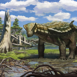 Recreación de Europelta carbonensis, un dinosaurio acorazado hallado en Ariño. /ANDREY ATUCHIN - FUNDACIÓN DINÓPOLIS