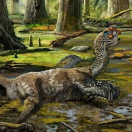 Ilustración conceptual del "dragón de barro". ZHAO CHUANG