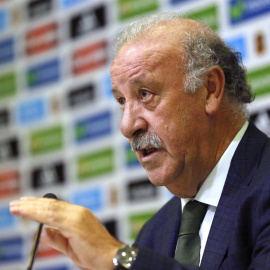 El seleccionador nacional, Vicente Del Bosque. EFE