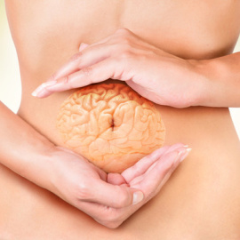 No es de extrañar que haya una comunicación continua entre los intestinos y el cerebro, al igual que muchas sensaciones y estados mentales se reflejan en nuestras tripas. /Fotolia