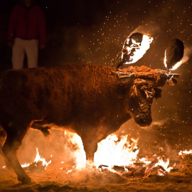 Imagen de archivo de un toro embolado. REUTERS
