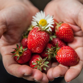  Foto: Walkersalmanac en Pixabay.