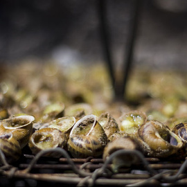 Caracoles a la llauna. 