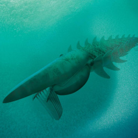 Recreación del anomalocárido Aegirocassis benmoulae. / M. COLLINS (ARTOFFACT)