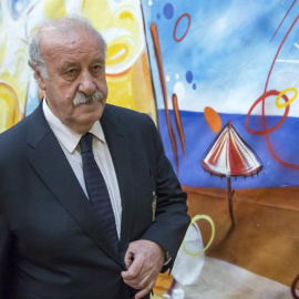 El seleccionador nacional, Vicente del Bosque, a su llegada a la rueda de prensa ofrecida hoy en Sevilla. /EFE