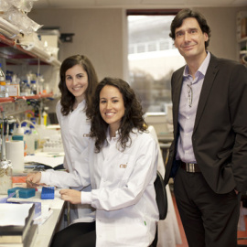 De izqda. a dcha., Ana Ortega-Molina, Elena López-Guadamillas y Manuel Serrano. / CNIO