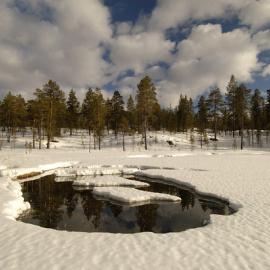 En los últimos 30 años se han perdido tres cuartas partes del volumen de hielo en el Ártico./ Greenpeace