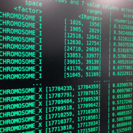 La secuenciación de un genoma ocupa 600 gigabyts de memoria. / Made of Genes