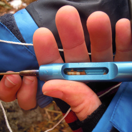 Una de las miles de muestras analizadas, extraída con un Trephor.