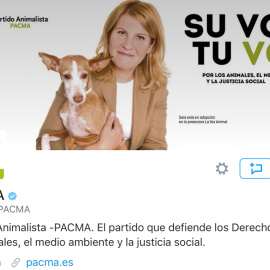 Perfil de Twitter del Partido Animalista.