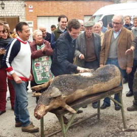 Críticas a Pablo Casado por participar en la matanza de un cerdo en Ávila