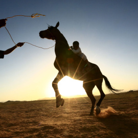 Un hombre saudí enseña a su hijo a montar a caballo en un desierto cerca de Tabuk. REUTERS/Mohamed Al Hwaity