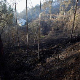 Las tareas de extinción continúan en los 14 incendios que se mantienen activos en Asturias. EFE/Carlos Castro