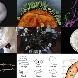 La revista Science ha publicado en su página web su top ten con las aportaciones más importantes a a la ciencia en 2015. / SINC