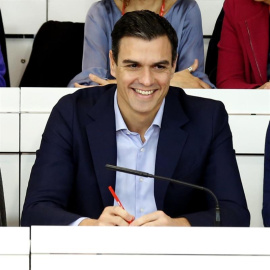 El secretario general, Pedro Sánchez, durante la reunión del Comité Federal del PSOE. EFE/Sergio Barrenechea