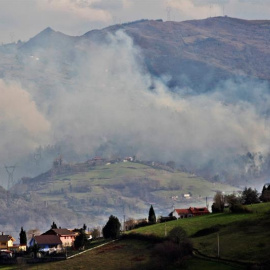 La mejora de las condiciones meteorológicas favorecen el control de los focos en Asturias. EFE/Alberto Morante