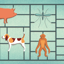 Ilustración de las posibilidades de edición genética de la técnica CRISPR./Davide Bonazzi/Science