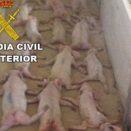 Imágenes de la Guardia Civil. EUROPA PRESS