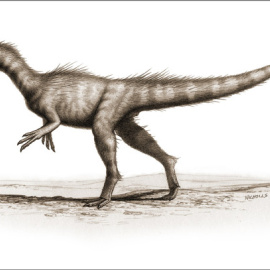 Dracoraptor hanigani.- BOB NICHOLLS