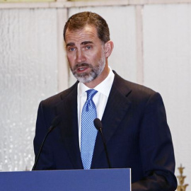 El rey Felipe VI. EP