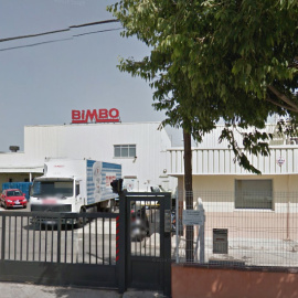 Planta Bimbo Palma de Mallorca