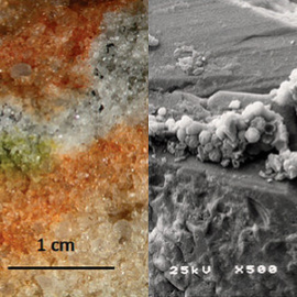 Sección de una roca colonizada por microorganismos criptoendolíticos y detalle al microscopio electrónico de un hongo Cryomyces en cristales de cuarzo. / S. Onofri et al.