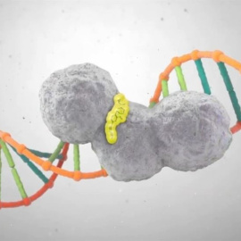 Sanidad autoriza la primera terapia personalizada frente al cáncer de ovario