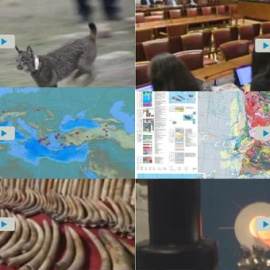 y otros vídeos de ciencia de la semana. /SINC