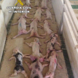 EUROPA PRESS/GUARDIA CIVIL