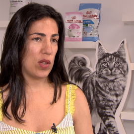 Claves para unas vacaciones con mascotas