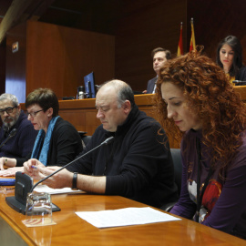 Representantes del comité de empresa de Auzsa y familiares de los trabajadores comparecieron este martes en las Cortes de Aragón.