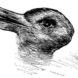 Esta imagen ambigua, en la que se pueden ver representados los dos animales, apareció por primera vez en octubre de 1892 en una revista de humor alemán (Fliegende Blätter) y fue descrita como: "¿Qué animales son más similares entre sí?", "C