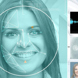 Software 'Bismart Face and Emotion Recognition' de Birmart