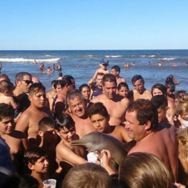 Piden que se detenga al hombre que sacó al delfín del agua en Argentina provocando la muerte del animal