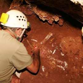 Cueva Victoria, en Cartagena, donde se encontraron los fósiles utilizados en el estudio.