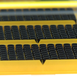 Genes que "saltan" entre especies de animales y plantas