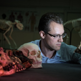 El biólogo evolutivo Alistair Evans, líder del estudio, examina una serie de moldes de cráneo de homínidos que se incluyeron en el trabajo / David Hocking