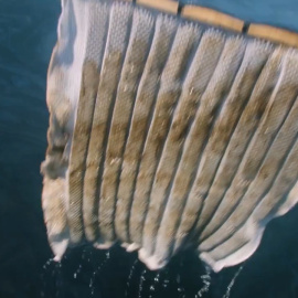 Probada con éxito una esponja que limpia vertidos de petróleo