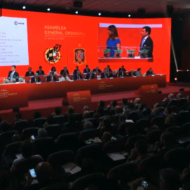Asamblea General de la Real Federación Española de Fútbol