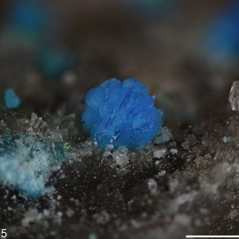 Pequeños cristales de nevadaíta, hallada solo en Nevada (EE UU) y Kirguistán.