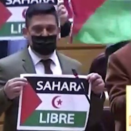 Carles Mulet (Compromís) en la sesión de control al Gobierno en el Senado: "Hoy, mañana y siempre, a pesar del PSOE, Sáhara libre"