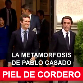 La metamorfosis de Pablo Casado