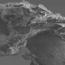 Un grano de otro mundo, traído por una nave espacial