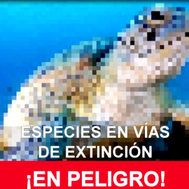 Las cifras de las especies en peligro de extinción, en píxeles