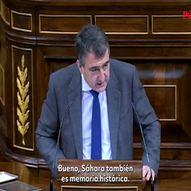 VÍDEO | "El Sáhara también es memoria histórica": Unidas Podemos y los socios arremeten contra Sánchez por su giro