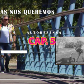 Vivas Nos Queremos | Manual de Autodefensa, Capítulo 5: Ejercicios de palanca