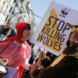 Dos participantes disfrazados en la manifestación 'Lobo vivo, lobo protegido' que organizada por Lobo Marley, PACMA y organizaciones animalistas y ecologistas se ha desarrollado hoy por Madrid. EFE/Mariscal