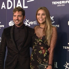 ¡David Bisbal y Rosanna Zanetti van a ser padres!