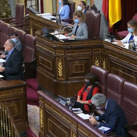 El enésimo 8-M de Vox