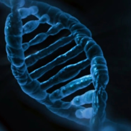 Publican la secuencia completa del genoma del trigo